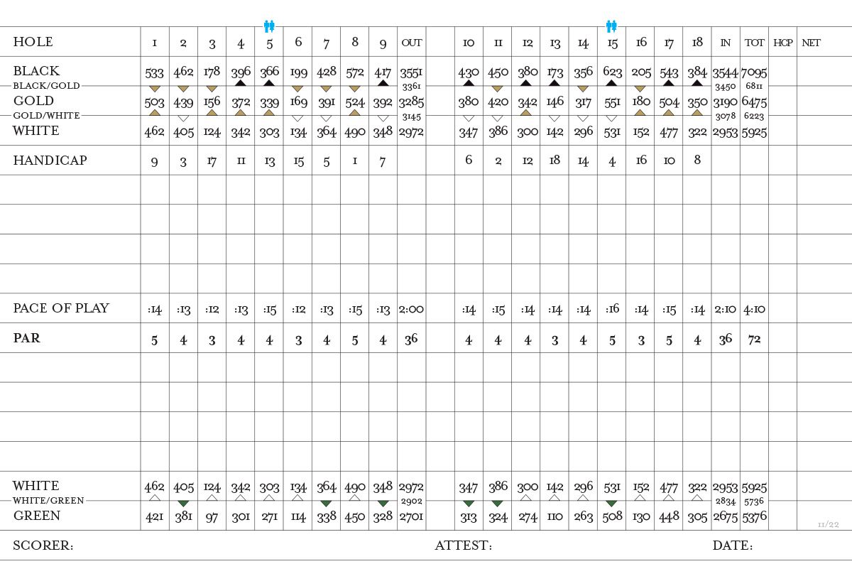 Dove Scorecard 2024